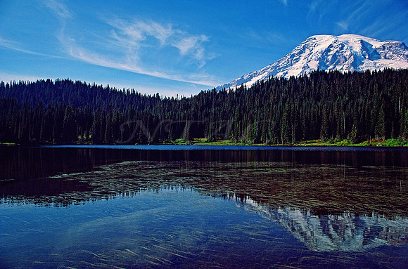 ALPINE VIEW