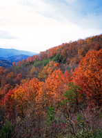 AUTUMN IN THE SMOKIES