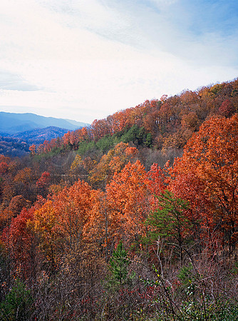 AUTUMN IN THE SMOKIES