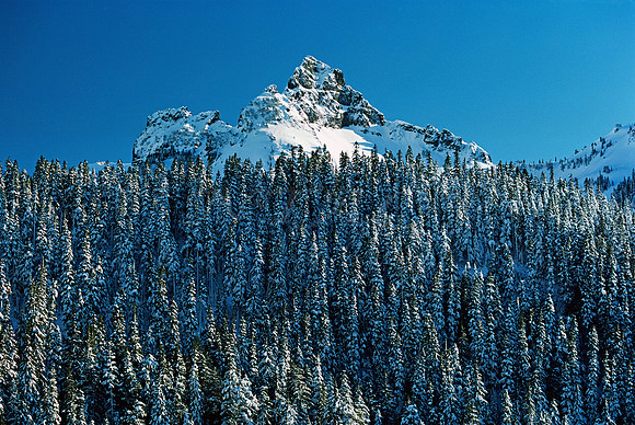 FIRST SNOW