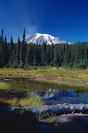 MAJESTIC VIEW