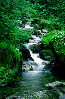 MOUNTAIN STREAM