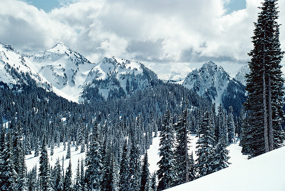 SNOWY MOUNTAINS