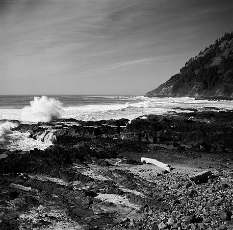 Central Oregon Coast 1 BW