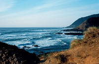 Coastline with Dune
