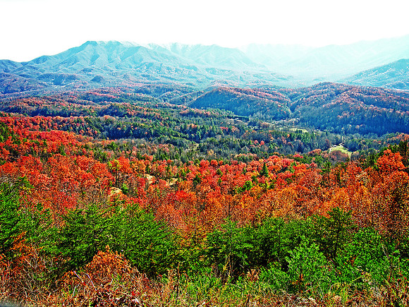 Autumn In The Smokies 4