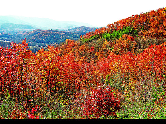 Autumn In The Smokies 5