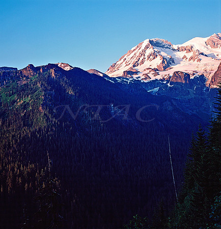 West Slope MT Rainier