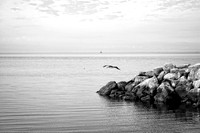 Mobile Bay 10
