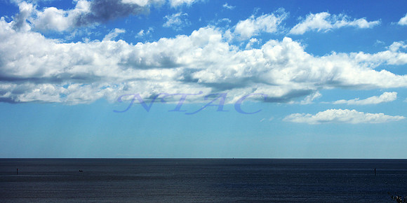 Biloxi Shoreline