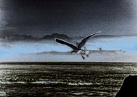 Flight Pattern V
