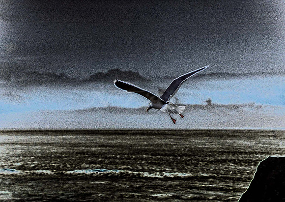 Flight Pattern V