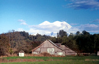 Country Scene  Eatonville, Wa