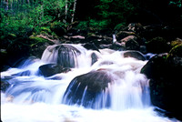 Cascade Mountain Stream 5
