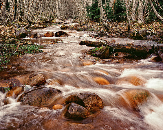 Longmire Stream 2