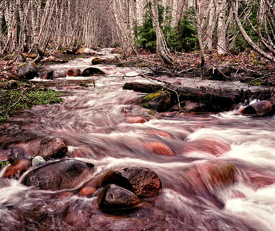 Longmire Stream 5