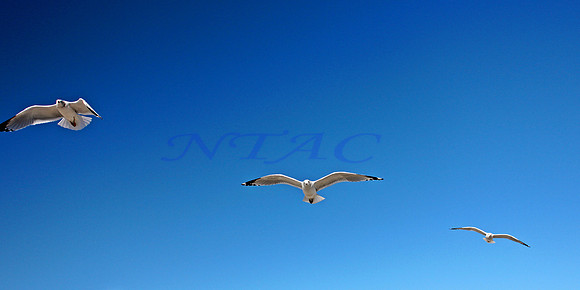 Flight Pattern VII Panoramic