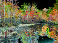 Reedy Creek NC 2