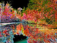 Reedy Creek NC 3