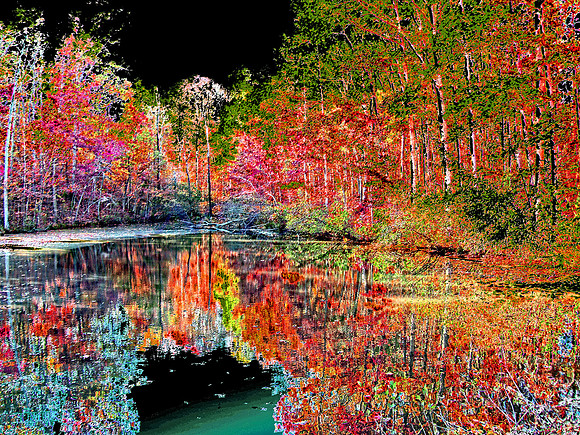 Reedy Creek NC 3