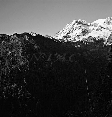 West Slope Mt Rainier BW