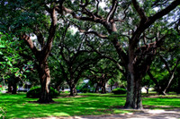Southern Neighborhood II M2