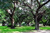 Southern Neighborhood IIM1
