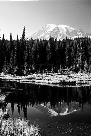 Majestic View 2BW