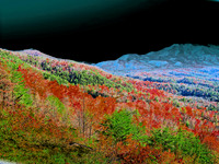 The Great Smokies Solarized