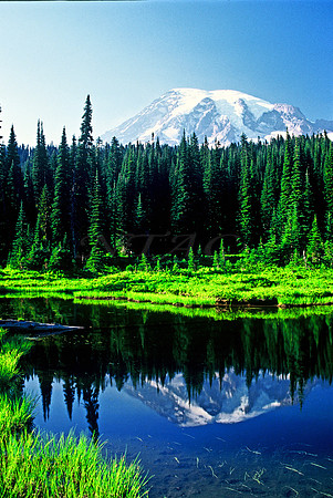 Majestic View 2