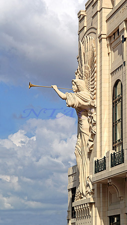 Bass Hall Angel 4341MX