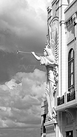 Bass Hall 4341MBWX