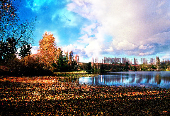 Waughop Lake