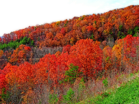 Autumn In The Smokies 6