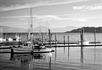 Makah Tribal Trawlers BW2