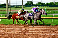 Horse Racing And Livestock