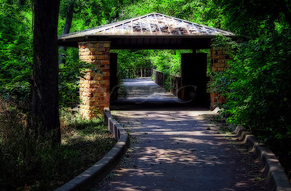 Garden Trail 8656MX