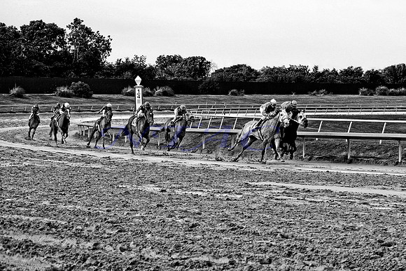 Winners And Losers 020MBWXX20x30