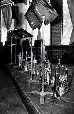 Horns_0436MBW