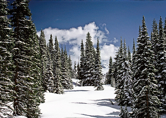 Winter Wonderland 2