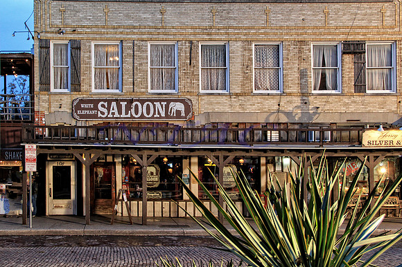 White Elephant Salon_1698MX
