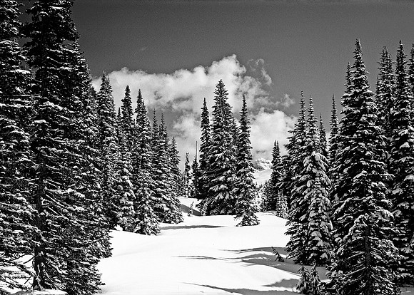 Winter Wonderland 2 BW