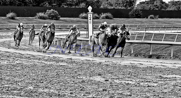 Rounding The Quarter Turn  018MBWXX