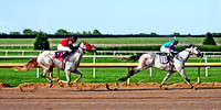 The Chase 099ModXX16x32Medium
