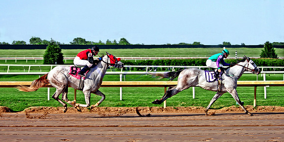 The Chase 099ModXX16x32Medium