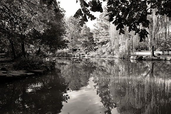 Autumn In Sepia5889