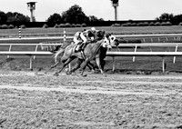 Dead Heat 023MBWX