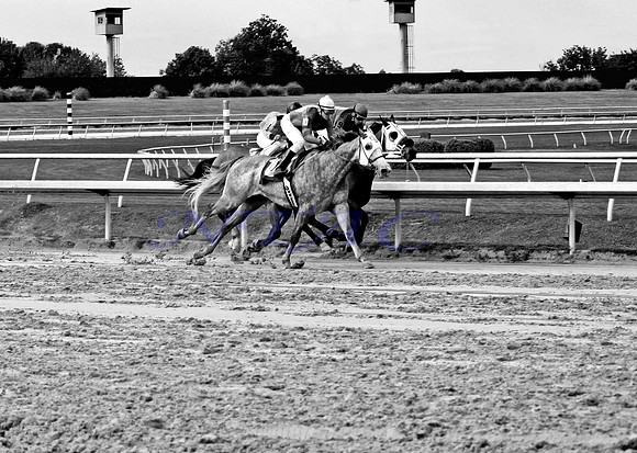 Dead Heat 023MBWX